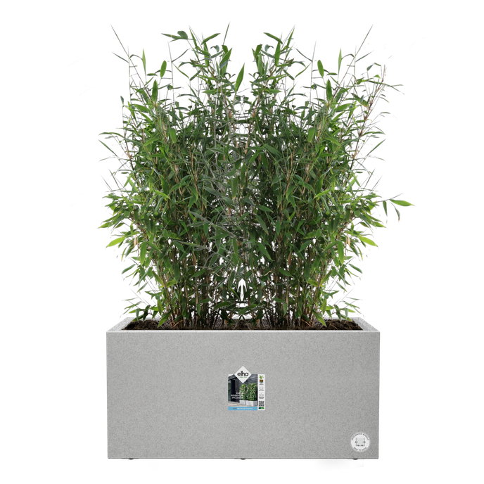 vivo next long 60cm living concrete